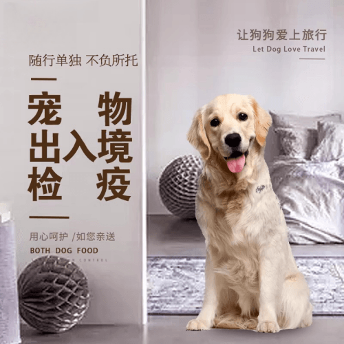 湛江宠物托运到哥伦比亚猫狗宠物入境规定和