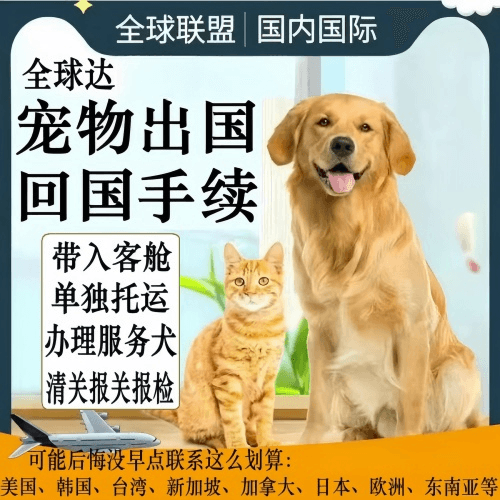 湛江宠物托运到柬埔寨宠物入境规定和要求