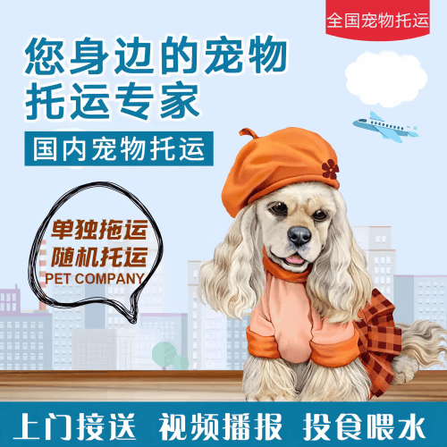 满财湛江宠物全球达宠物托运作为专业的宠物运输代理机构